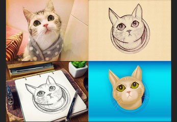“双11”天猫苏宁合体变“猫宁”