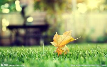 中国LoRa物联网产业运营联盟成立