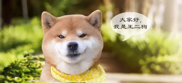 想要进入IT行业，零基础4个月真的能学会吗？